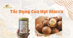 tác dụng của hạt macca