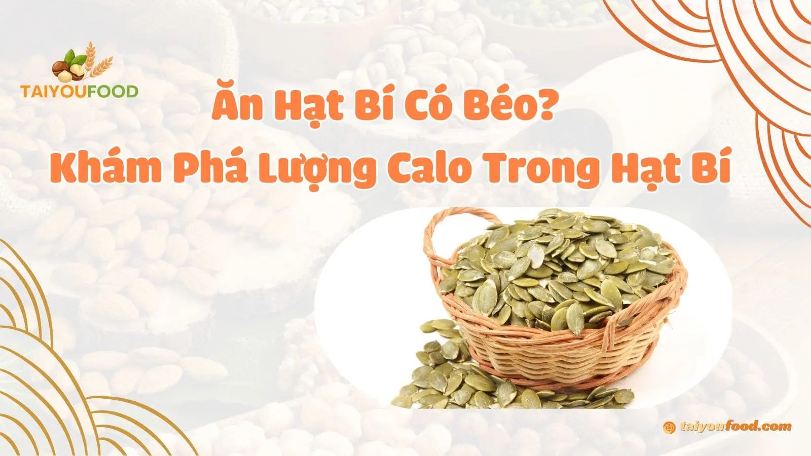 Ăn Hạt Bí Có Béo Không ? Cùng Khám Phá Số Calo Trong Hạt Bí