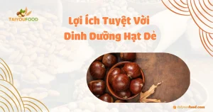 Dinh Dưỡng Hạt Dẻ