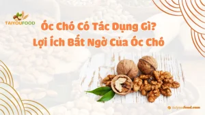 Óc Chó Có Tác Dụng Gì? Lợi Ích Bất Ngờ