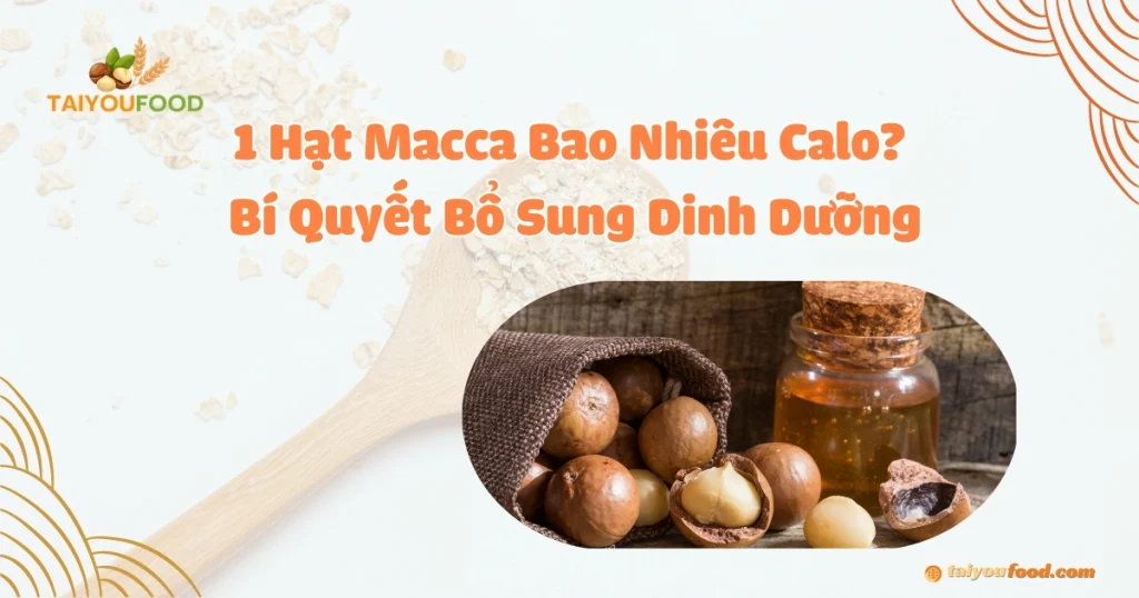 1 hạt macca bao nhiêu calo