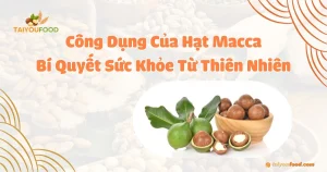 công dụng của hạt macca